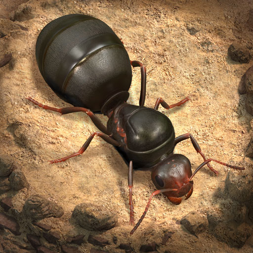 Ikon kategori The Ants Underground Kingdom